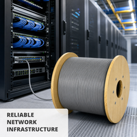 Kabel Ethernet Cat6 Cat6a 305m 1000ft UTP FTP Harga Ekonomis Kecepatan Gigabit CCA Kabel Jaringan LAN untuk Kantor
