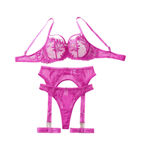 Ensemble de Lingerie Sexy en Dentelle Évidée pour Femme, Soutien-Gorge Dos Nu, Culotte, Porte-Jarretelles, 5 Pièces, Style Pure Lust, Teddy Transparent