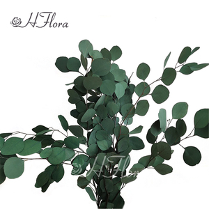 HFloral Wholesale Custom Natural Decorative Dried Bouquet <strong>Press</strong> the Leaves Preserved <strong>Flower</strong> Apple Leaf Eucalyptus - Product Image 2
