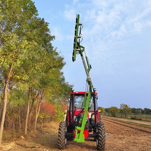 Vente d'usine! Machine de taille d'arbre/taille-<span class=keywords><strong>haie</strong></span> de tracteur/sécateur d'arbre, machine d'élagage de mangue - Product Image 2