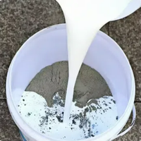 Revêtement d'étanchéité liquide en caoutchouc polymère à base de ciment JS, fourni directement par l'usine, pour application murale, personnalisable