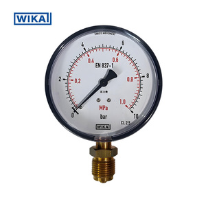 מד לחץ צינור בורדון דגם 111.10 ו-111.12 מארז פלסטיק ABS או פלדה צבועה סדרה סטנדרטית - התקנה תחתונה - Product Image 5