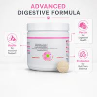 Comprimés à croquer pour chiens et chats, marque privée, probiotiques pour la santé digestive, kaolin, pectine, aide au bien-être, entretien intestinal, 240g