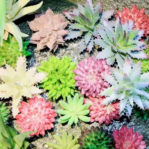 Succulents 도매 장식 미니 선인장 구색 야외 실내 매달려 배열 인공 식물 즙이 많은 판매