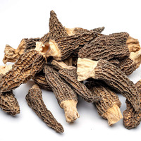 Prix préférentiel Morilles Champignons Morille cultivée de haute qualité Champignons Morilles séchées végétaliens