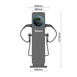 Teison 2*22kw Outdoor Double-Gun Commercial Ac Ev Fast Charger Dual Guns Car Charger Station