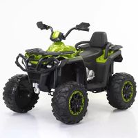 Quad électrique pour enfants de grande taille, 4 roues, alimenté par batterie, en plastique ABS, jouet à roulettes pour les enfants de 2 à 10 ans, cadeau unisexe