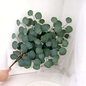 Branches d'eucalyptus artificielles légères et faciles à installer pour la mise en scène de biens locatifs, l'<span class=keywords><strong>immobilier</strong></span>, les visites ouvertes et la décoration intérieure - Product Image 3