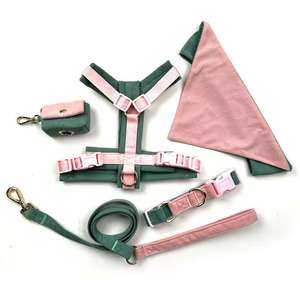Produttore Professionale di Articoli per Animali Domestici Set Personalizzato per Passeggiata Cani - Pettorina Collare Guinzaglio Porta Sacchetti Igienici - Product Image 5