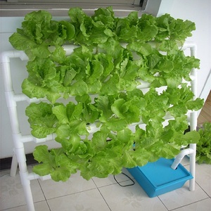 Sistema Hidropónico Automatizado para Invernadero NFT, Puede Cultivar Microgreens - Product Image 3