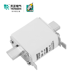ฟิวส์ Tengen Rt16-00 32A Gg Ac500V 120Ka ชนิดเซรามิกแรงดันต่ำแบบแกน - Product Image 2