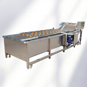 Máquina Automática de Limpieza de Frutas y Verduras con Burbujas de Acero Inoxidable, Motor con Capacidad de 500-700KG/H, Equipo de Lavado y Esterilización - Product Image 3
