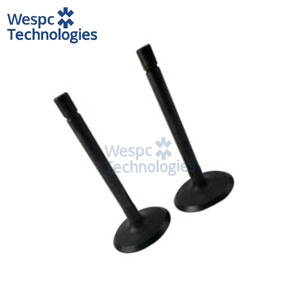 Soupape d'admission en fonte haute durabilité WESPC U20166380 pour moteurs Perkins 403A 403D 403F 403 403A-11G - Product Image 2