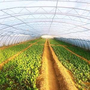 Super affaire de construction d'une serre à Tunnel, <span class=keywords><strong>prix</strong></span> de serre - Product Image 4