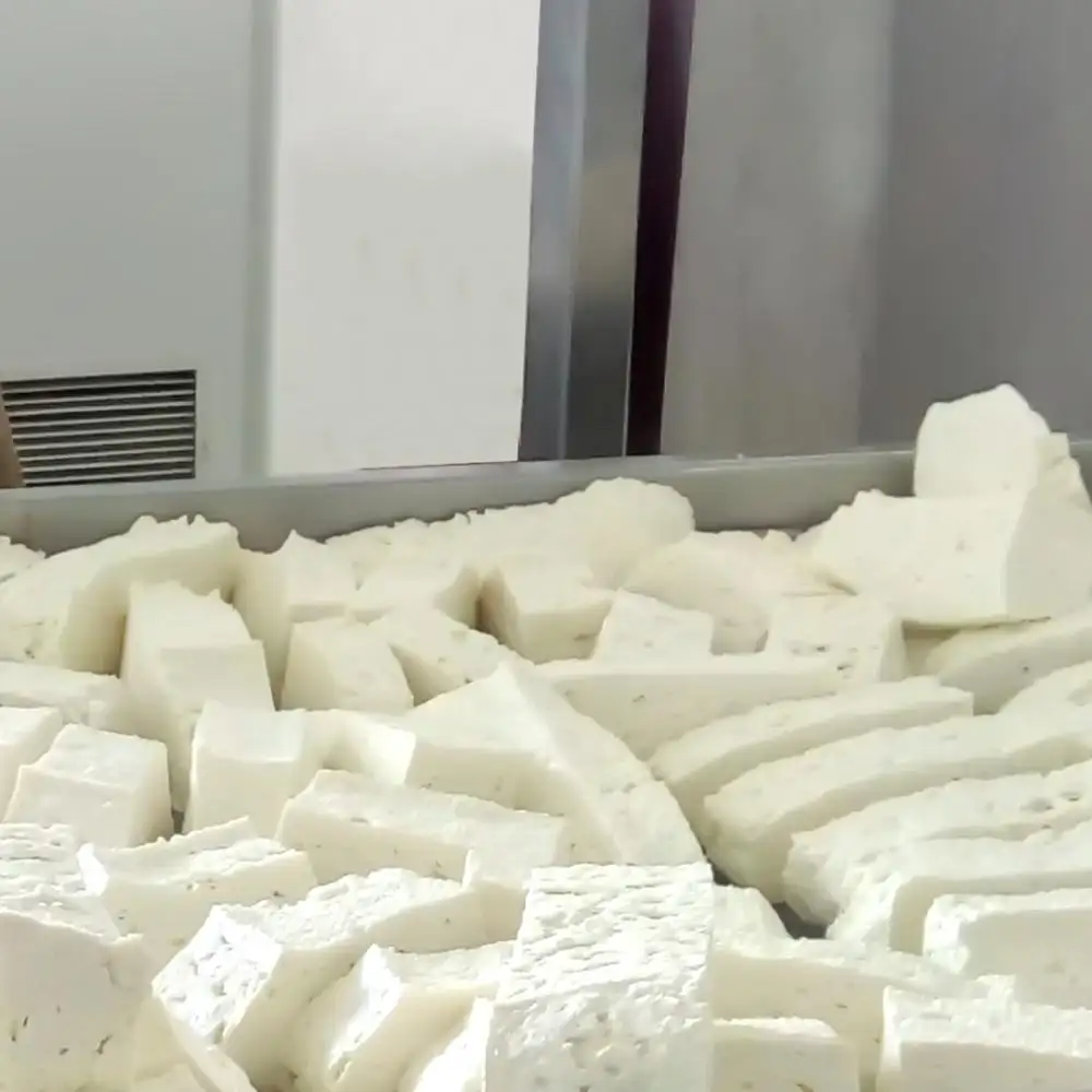 Käse produktions linie Mozzarella-Käse-Schmelz maschine Ziegenkäse-Maschine