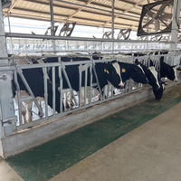 Barrière d'enclos automatique pour bétail galvanisée à chaud, équipement d'élevage, barrière d'alimentation pour vaches
