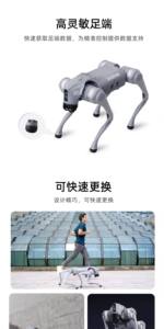 En Stock, Robot Humanoide Unitree G1 BASIC, Robot Educativo Humanoide, Robot Humanoide con IA - Product Image 2