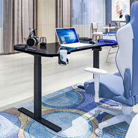 Lumières LED RVB réglables personnalisées, prix, chambre à coucher, PC gamer, table d'ordinateur, bureau de jeu, mesa, ergonomique, debout