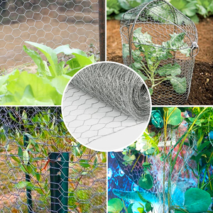 Lục giác dây sắt mạ kẽm lưới nhà sản xuất Trung Quốc của gà & động vật lồng với tùy chỉnh Cắt Uốn dịch vụ - Product Image 4