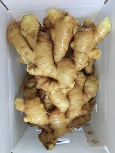 กล่องขิงสด100กรัม150กรัม200กรัม250กรัมขึ้นในกล่องพีวีซีพืชมณฑลซานตง - Product Image 5