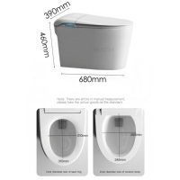 WC intelligent avec bidet intégré, siège chauffant, séchoir à air chaud, allongé, sans réservoir, autonettoyant, finition émaillée, veilleuse, en céramique, vente en gros