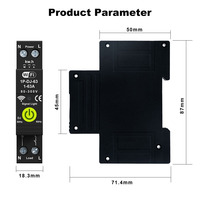 RMshebei Tuya Mini disjoncteurs Wifi Smart Home Switch 1P + N 63A Smart Energy Meter Protector Voltage Din Rail Télécommande