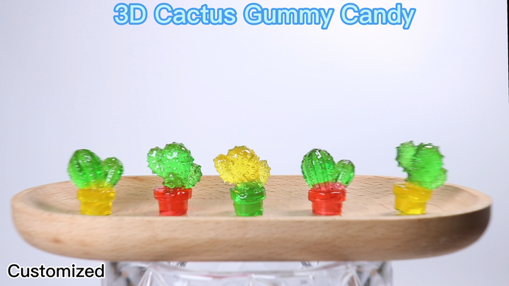 Lechao Bag Pack Various Cactus Shape 3D Gummy Candy Halal Confectionery  Sweet Fruit Flavor Jelly Candy
