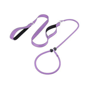 El más nuevo Heavy Duty Durable No-Pull Slip Pet Leash Collar Nylon Acolchado Mango Estilo de moda Patrón sólido Venta al por mayor Dog Slip Lead - Product Image 1