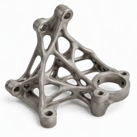 Service d'impression 3D sur mesure en métal SLM, structure de support, alliage d'aluminium et de titane, pièces légères pour l'aérospatiale et l'automobile