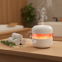 Diffuseur d'air à lampe de sel de l'Himalaya, brume froide, diffuseur d'arômes ultrasonique avec haut-parleur musical, fabrication