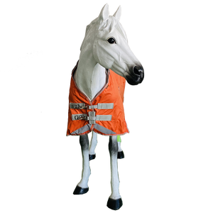 <span class=keywords><strong>Couverture</strong></span> de pluie d'<span class=keywords><strong>hiver</strong></span> pour <span class=keywords><strong>cheval</strong></span> orange en gros bon marché drap équin équestre avec couvre-cou standard - Product Image 1