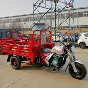 New Design Gasoline Motorcycle Tricycle Fuel Type Agricultural Tricycle