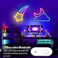 Bande néon lumière couleur de rêve Led corde RGBIC lampe Smart App contrôle Wifi adressable néon course Led bande