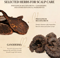 Dr Dumei Black Ganoderma He Shou Wu Shampoo Penguat Akar Anti Ketombe Pengontrol Minyak Memperbaiki Akar Rambut Meningkatkan Warna Gelap
