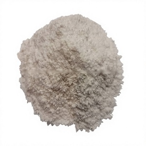Poudre d'eau de coco naturelle séchée par pulvérisation de Thaïlande - Product Image 1