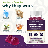 Gummies de kombucha probiotiques en gros pour la santé intestinale des adultes et le soutien digestif, avec extrait de kombucha