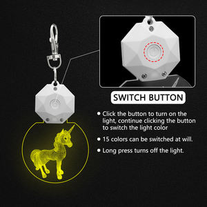 Gantungan kunci berkedip 15 warna akrilik kustom promosi bisnis hadiah akrilik gantungan kunci lampu miniatur gantungan kunci LED - Product Image 6