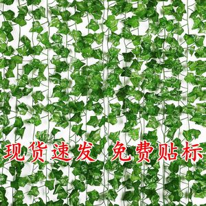 Plante grimpante artificielle en soie, lierre végétal cinq couleurs, décoration murale pour la maison et le jardin - Product Image 1
