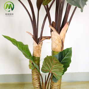 Plantas Verdes de Simulación, Bonsái Artificial, Plantas en Maceta, Árbol de Taro Arcoíris para Decoración de Hogar, Oficina, Centro Comercial y Tienda - Product Image 6