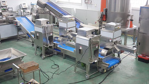 Línea Completa Automática para Maíz Fresco 1-5T/H: Cosechadora, Desgranadora, Trilladora, Peladora, Lavadora, Blanqueadora, Secadora y Empacadora - Product Image 5