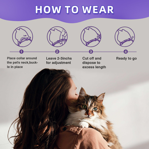 Collar calmante para gatos Comportamiento infundido con feromonas Soporte Lavanda de larga duración Efecto de 60 días Paquete de 4 ajustables e impermeables - Product Image 5