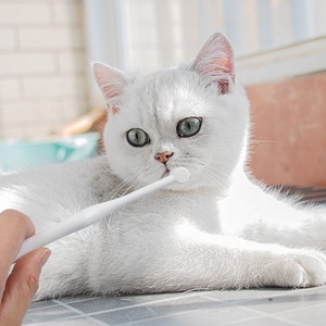 Fábrica al por mayor TARJETA DE blíster embalaje plástico pequeño suave mascota 10000 cepillo de dientes perro gato cepillo de dientes - Product Image 2