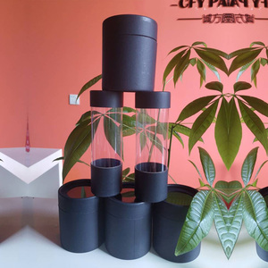 Wholesale Manufacturer Tubes Package for Cosmetics Cardboard Paper Tube with Transparent Window Tea Coffee Packaging Box