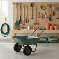 Carretilla de Jardín Profesional de Metal, Carro de Construcción con Capacidad de Carga de 80 kg, Personalizable OEM