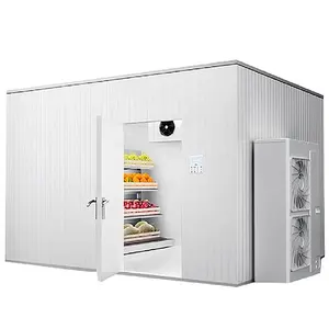 Room Container Panels Freezer Compressor For 40Ft Bag 50 Ton Cool Projects Refrigerator Cost Lamp Sliding Door Ice Cold Storage