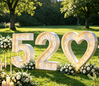 Nouvelles lettres lumineuses géantes de 18 pouces, 3 pieds, 4 pieds, 5 pieds, lettres lumineuses pour fête, chiffres lumineux pour fête, décoration pour baby shower, mariage, LOVE MARRY ME