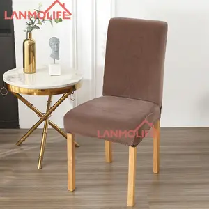 Housse de chaise en velours de renard argenté de couleur unie simple Design épaissi avec un design populaire élastique tout compris pour les chaises