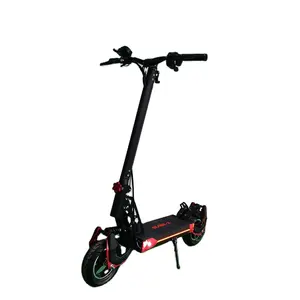 Blade X Pro Cheapest Price 10Inch Single/Dual Motor Fat Tire Off Road Electric Scooter 2400W 800W for Adult