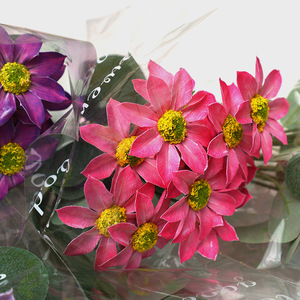 Bouquet de marguerites artificielles Xinchengzhi, fleurs en soie plastique pour la décoration de la maison et les accessoires de photographie - Product Image 2