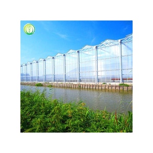 Serra Agricola Personalizzata con Struttura in Acciaio Zincato a Caldo Tipo Venlo - Product Image 6